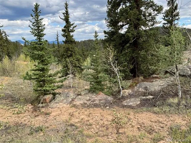 150 Ambush Lane Jefferson, CO 80456