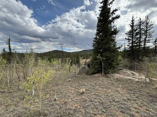 150 Ambush Lane Jefferson, CO 80456