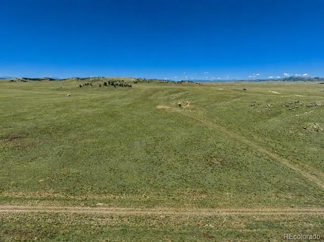 1234 Toltec Trail Hartsel, CO 80449