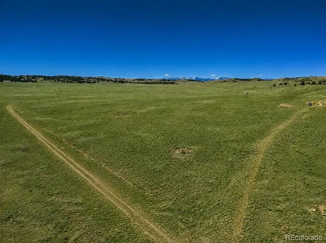 1234 Toltec Trail Hartsel, CO 80449