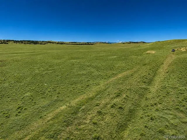 1234 Toltec Trail Hartsel, CO 80449