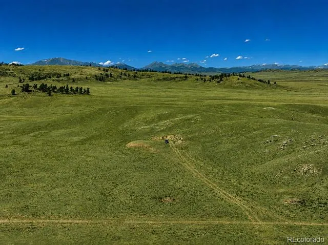 1234 Toltec Trail Hartsel, CO 80449