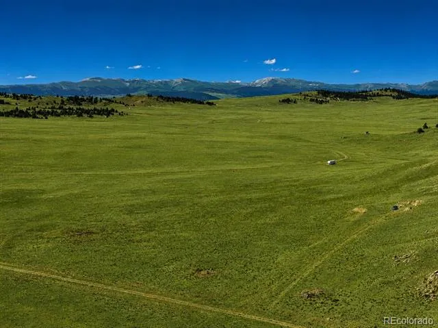 1234 Toltec Trail Hartsel, CO 80449