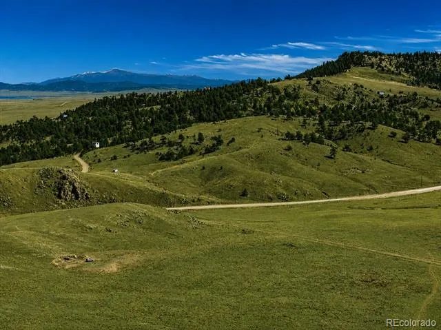 1234 Toltec Trail Hartsel, CO 80449