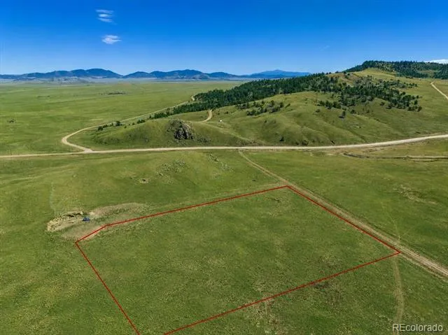 1234 Toltec Trail Hartsel, CO 80449