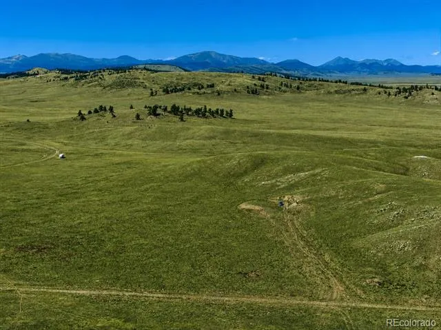 1234 Toltec Trail Hartsel, CO 80449