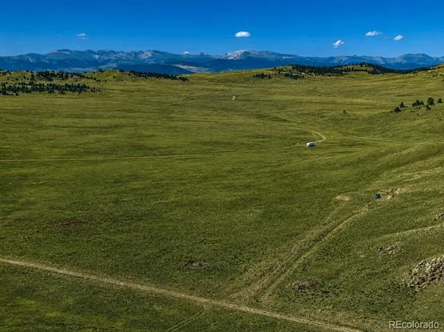 1234 Toltec Trail Hartsel, CO 80449