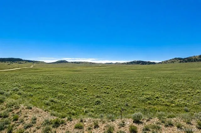 1234 Toltec Trail Hartsel, CO 80449