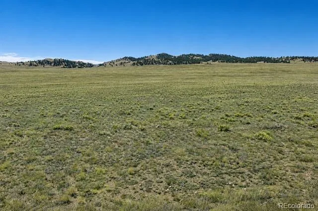 1234 Toltec Trail Hartsel, CO 80449