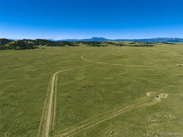 1234 Toltec Trail Hartsel, CO 80449