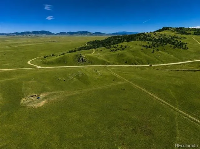 1234 Toltec Trail Hartsel, CO 80449