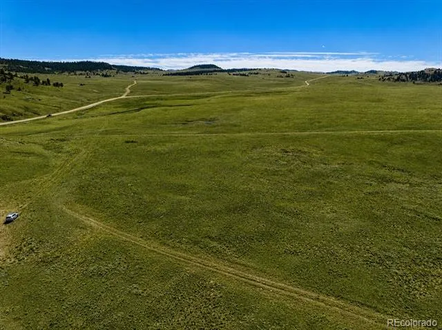 1234 Toltec Trail Hartsel, CO 80449