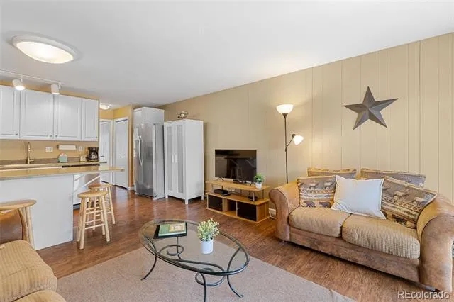 1513 E Keystone Road #2964 Dillon, CO 80435