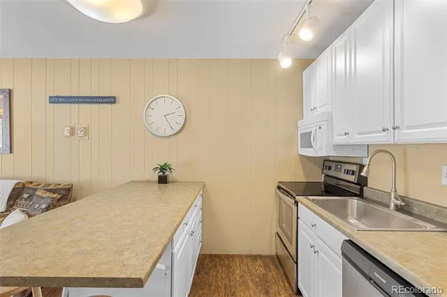 1513 E Keystone Road #2964 Dillon, CO 80435