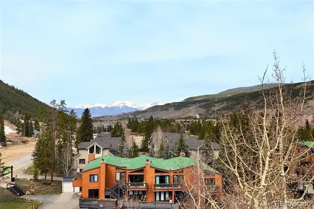 1513 E Keystone Road #2964 Dillon, CO 80435