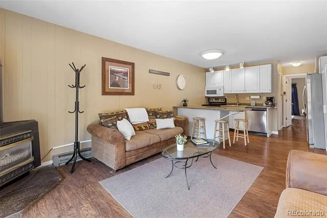 1513 E Keystone Road #2964 Dillon, CO 80435