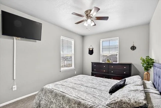 804 Mulberry Court Brighton, CO 80601