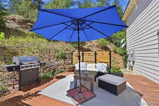 3477 Independence Trail Kittredge, CO 80457