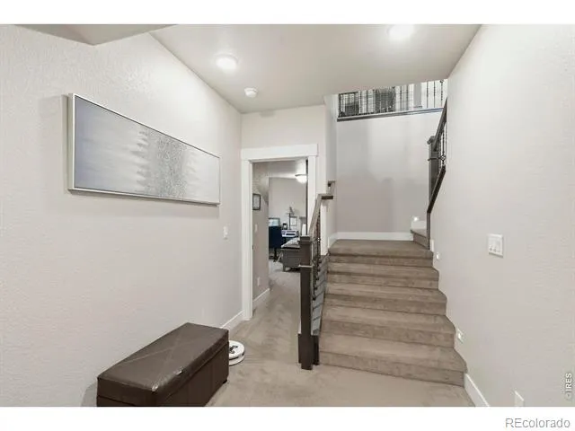 1815 Holloway Drive Windsor, CO 80550