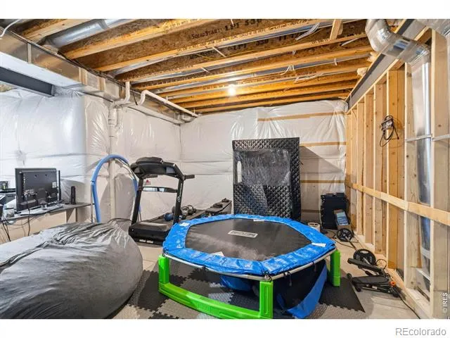1815 Holloway Drive Windsor, CO 80550