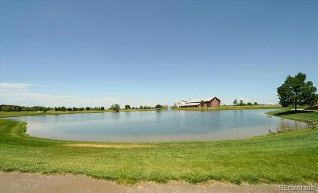 10195 Worchester Street Commerce City, CO 80022