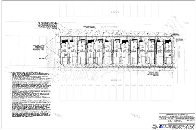 613 E 8th Street Leadville, CO 80461