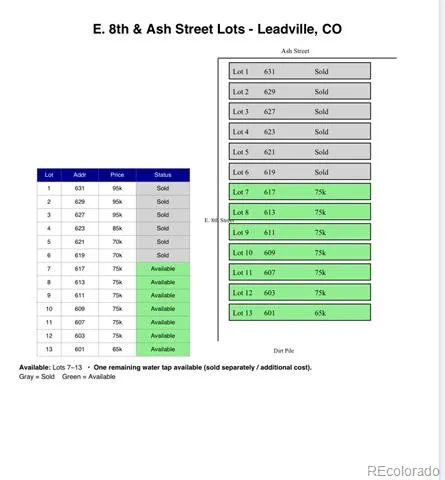 613 E 8th Street Leadville, CO 80461