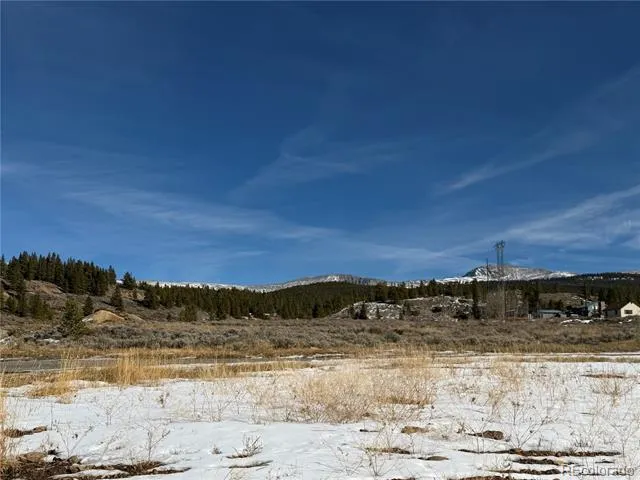 601 E 8th Street Leadville, CO 80461
