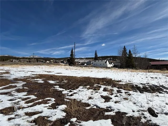 617 E 8th Street Leadville, CO 80461