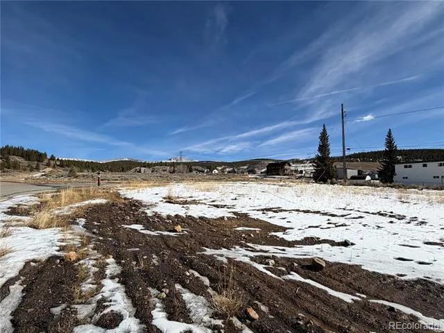 617 E 8th Street Leadville, CO 80461