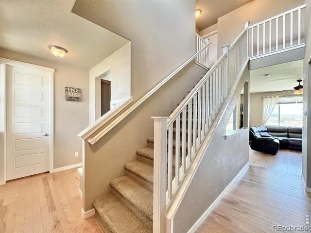 1301 7th Street Pierce, CO 80650