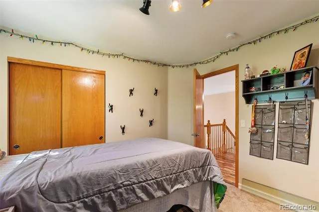 4046 Deer Valley Drive Castle Rock, CO 80104