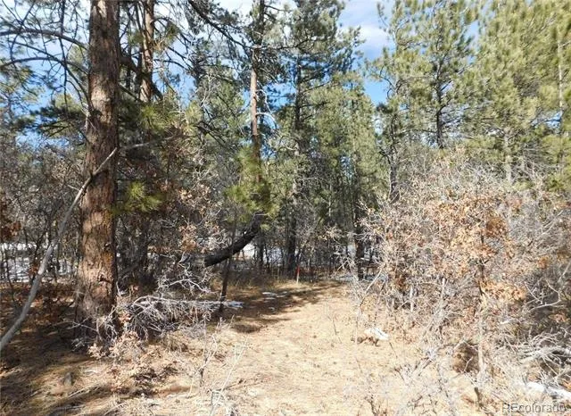 1025 Tenderfoot Drive Larkspur, CO 80118