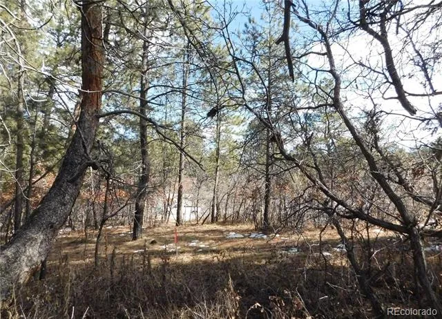 1025 Tenderfoot Drive Larkspur, CO 80118