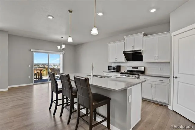 17941 Sky Pilot Avenue Parker, CO 80134