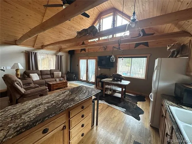 394 County Road 62 Grant, CO 80448