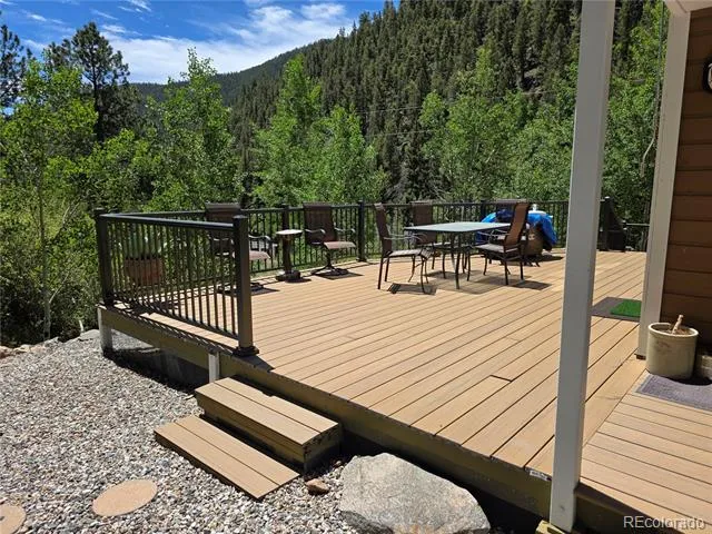 394 County Road 62 Grant, CO 80448