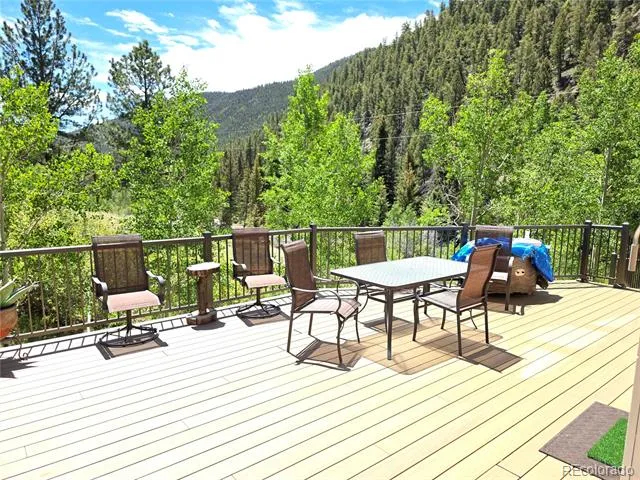 394 County Road 62 Grant, CO 80448