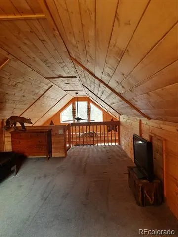 394 County Road 62 Grant, CO 80448