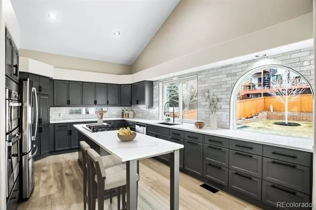 3385 White Oak Lane Highlands Ranch, CO 80129