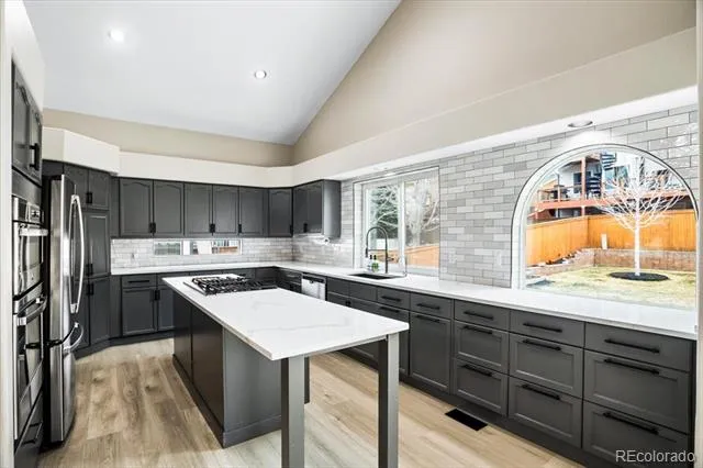 3385 White Oak Lane Highlands Ranch, CO 80129