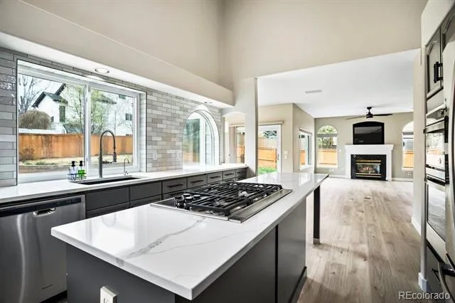 3385 White Oak Lane Highlands Ranch, CO 80129