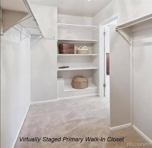 3538 S Ivanhoe Street Denver, CO 80237