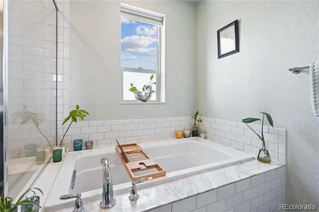 9002 E 50th Drive Denver, CO 80238