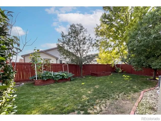 2266 Paonia Street Loveland, CO 80538