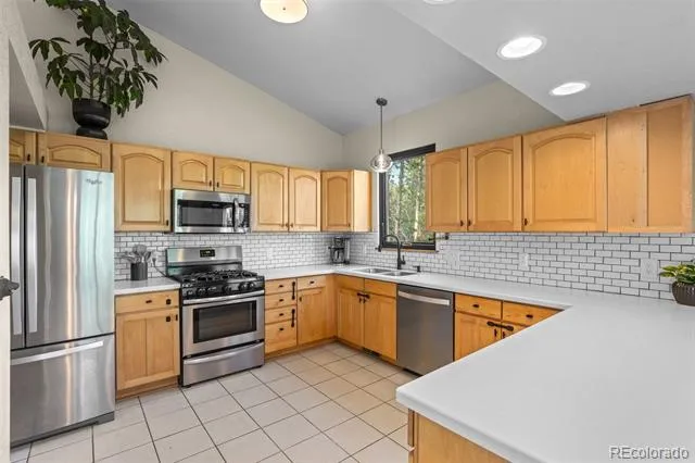 424 W Dory Way Black Hawk, CO 80422