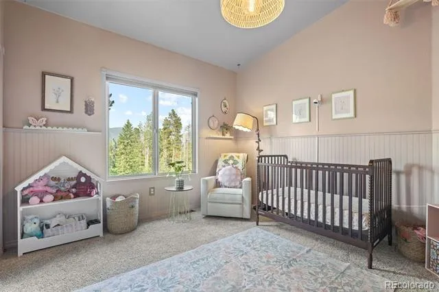 424 W Dory Way Black Hawk, CO 80422