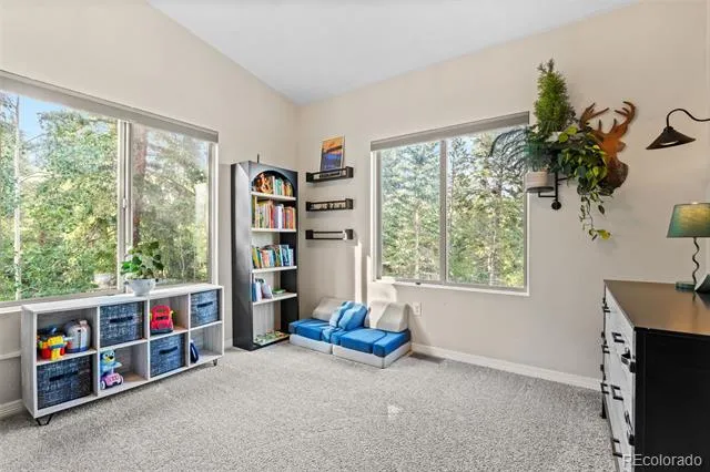 424 W Dory Way Black Hawk, CO 80422