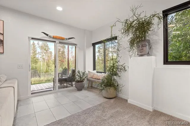 424 W Dory Way Black Hawk, CO 80422