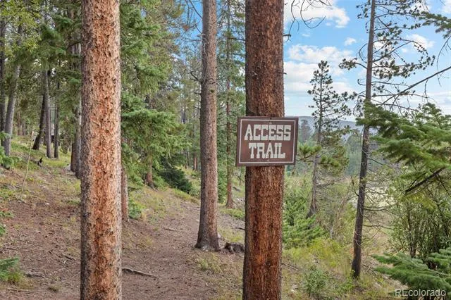 424 W Dory Way Black Hawk, CO 80422